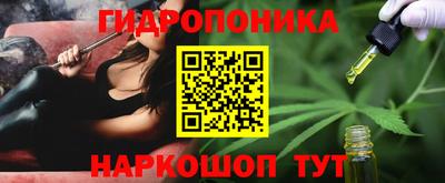 индика Пыть-Ях