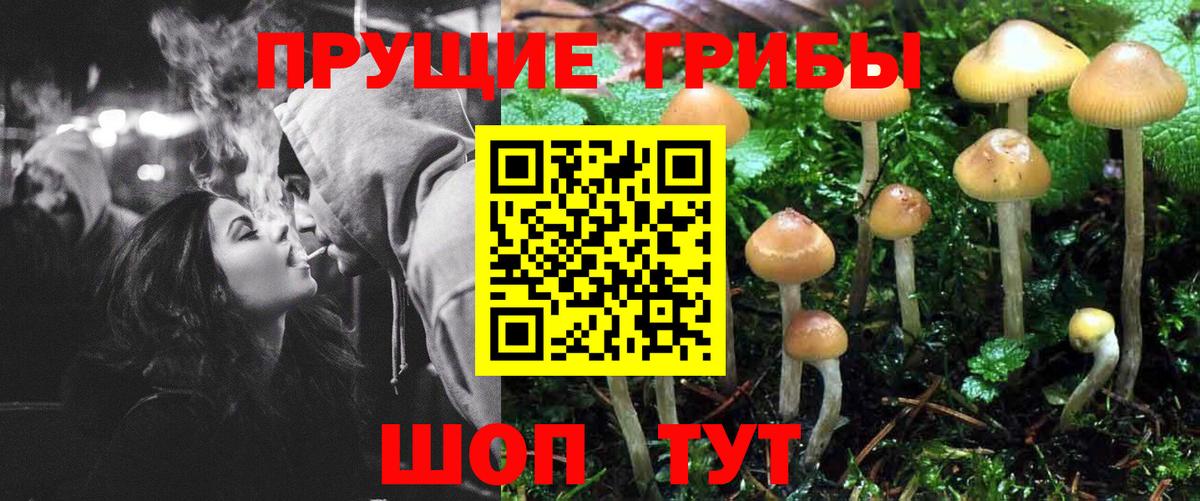 Псилоцибиновые грибы Magic Shrooms  Вход с VPN  Протвино 